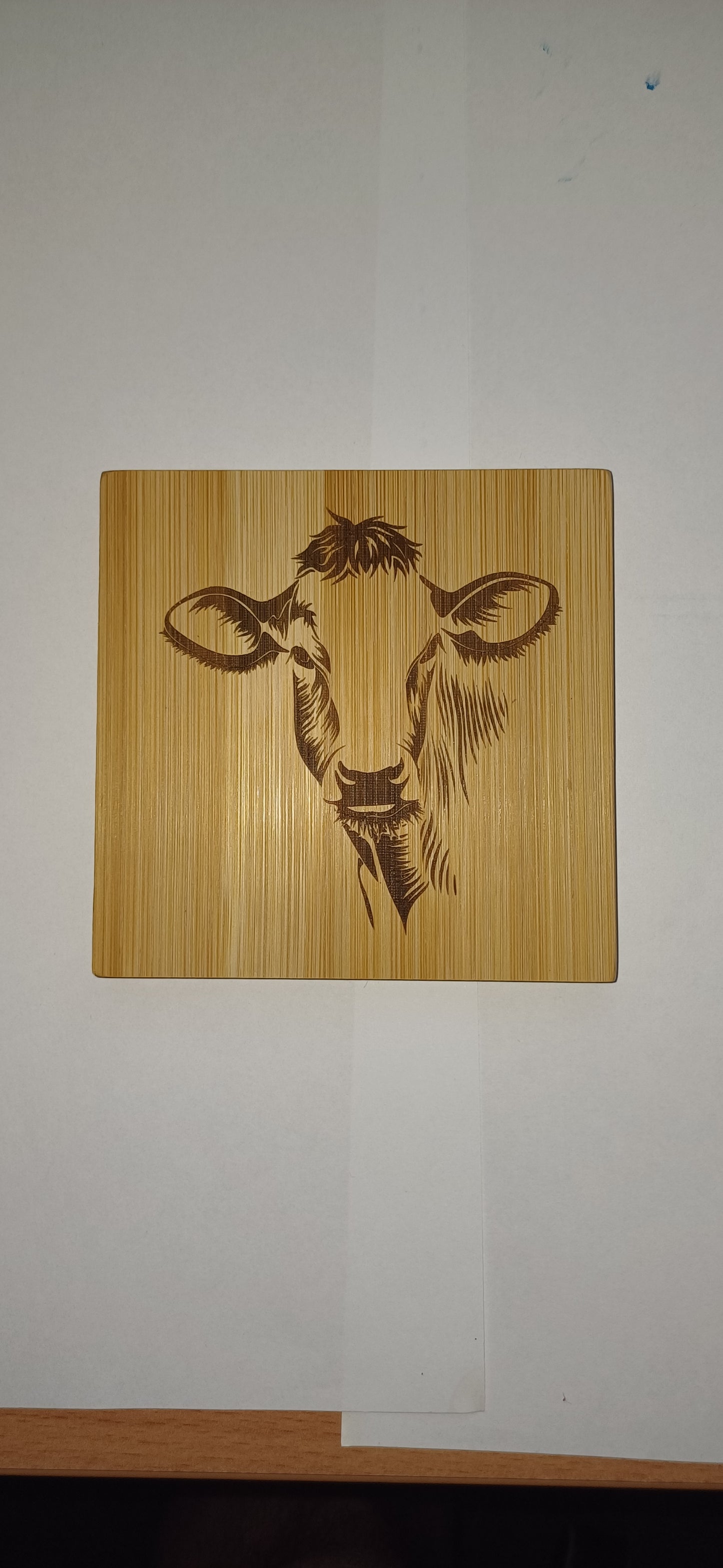 wooden bamboo coasters