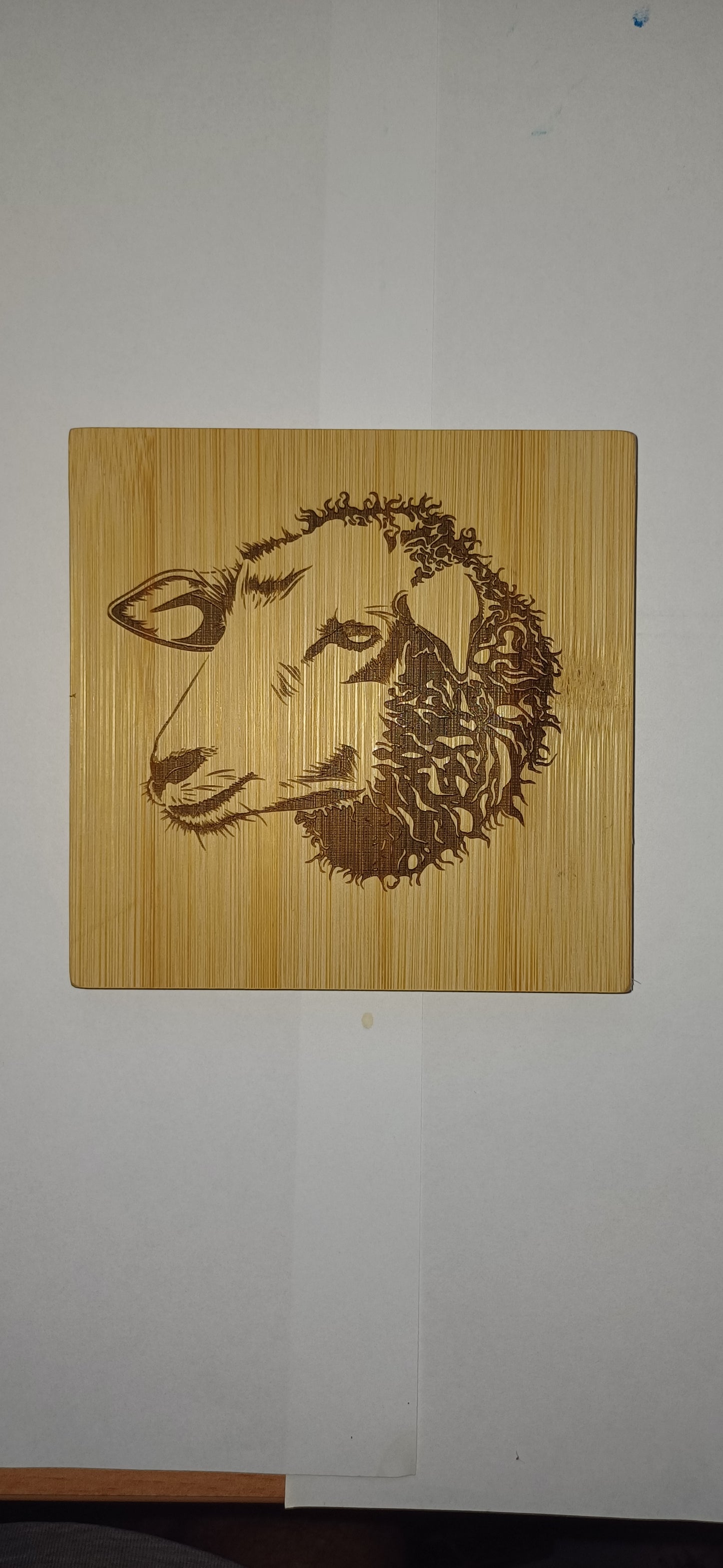 wooden bamboo coasters