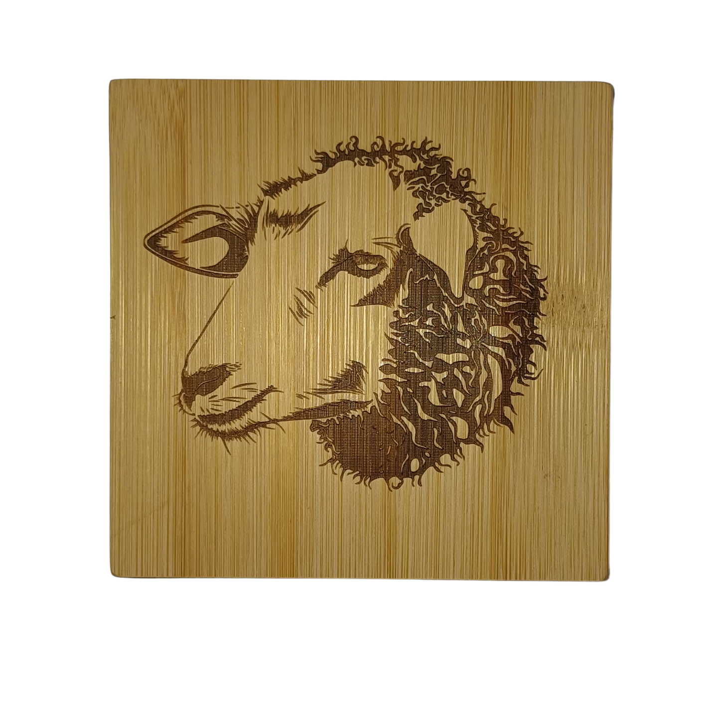 Drink coaster
